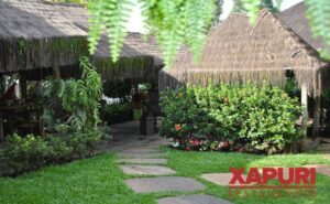 xapuri1