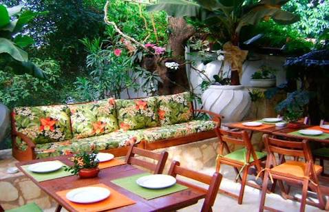 Paraíso Tropical