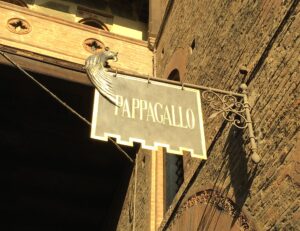 pappagallo